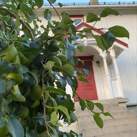 Landlig Idyll Med Fjordutsikt Kır Evi