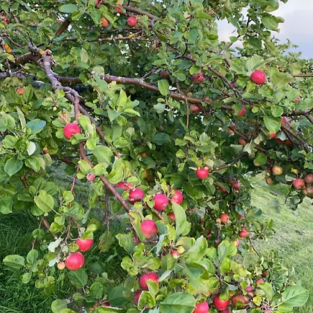 Landlig Idyll Med Fjordutsikt *