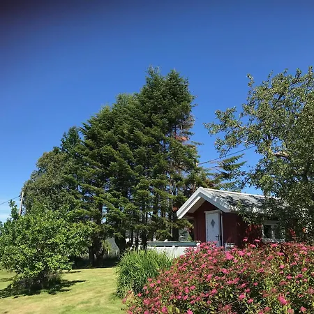 Landlig Idyll Med Fjordutsikt