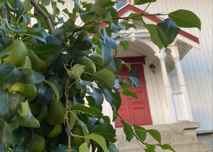 Landlig Idyll Med Fjordutsikt בית כפרי